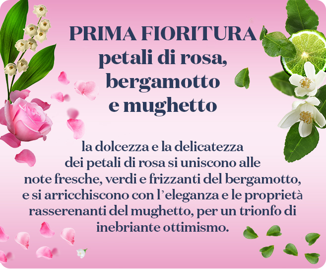 Cashback NUOVO COCCOLINO PROFUMO PER BUCATO